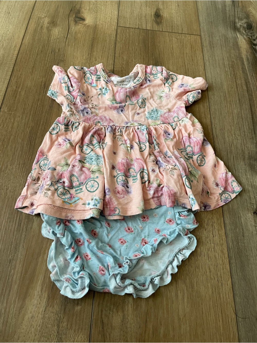 Posh Peanut Pumpkin- Kids Pink Floral Dress & Blue Rose Bloomer Set